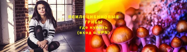 кокаин Бородино