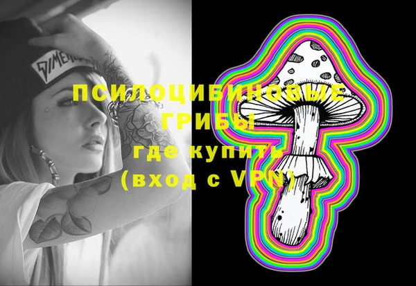 дурь Бронницы