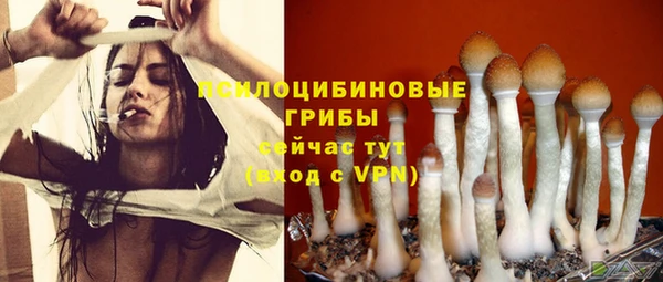 кокаин Бородино