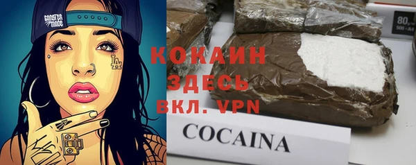дурь Бронницы