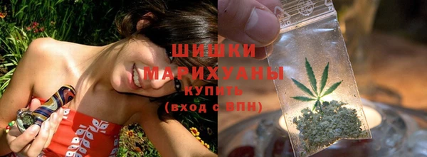 дурь Бронницы